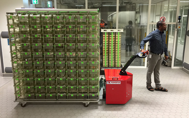 Moving Techniplast IVC racks at the Francis Crick Institute, London Moving Techniplast IVC racks at the Francis Crick Institute, London